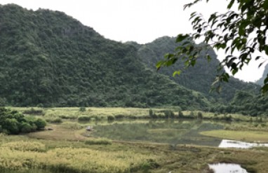 Cuc Phuong National Park to Tam Coc